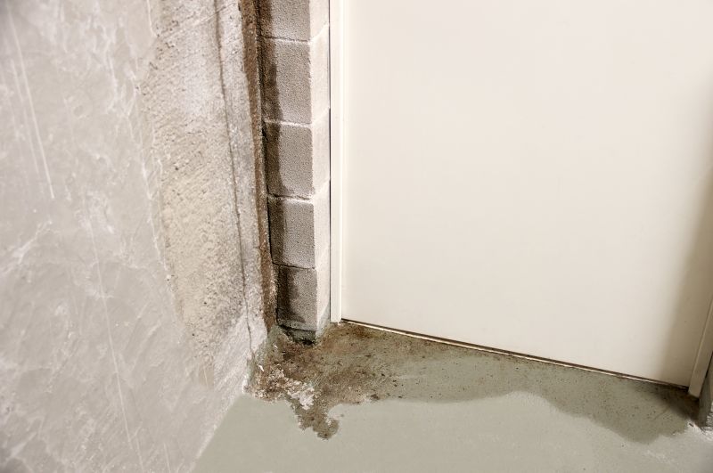 Basement Leak Repair in Grand Rapids, MI