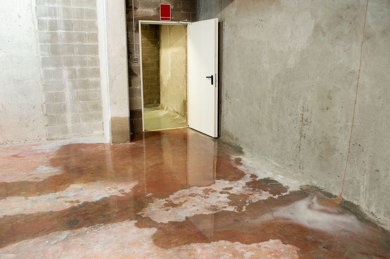 Basement Leak Repair in Fort Collins, CO